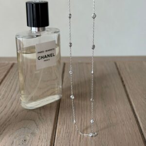 Collana microfilo elegante argento